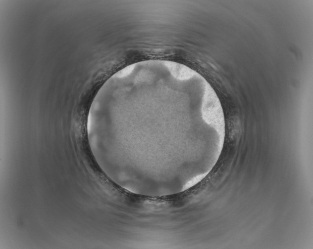 X0000110990515200907311013