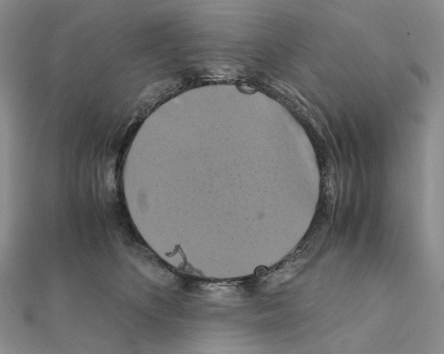 X0000110990516200907311013