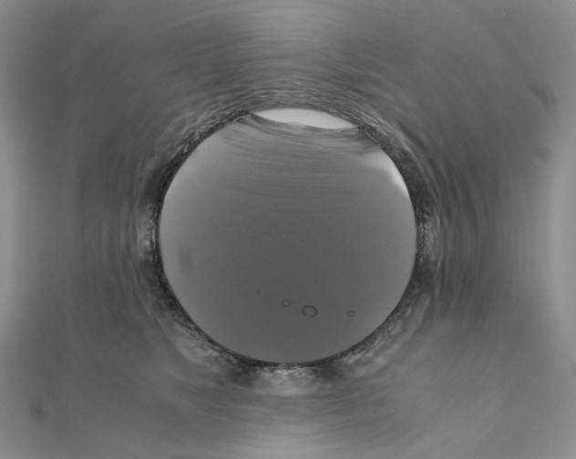 X0000110990517200907311013