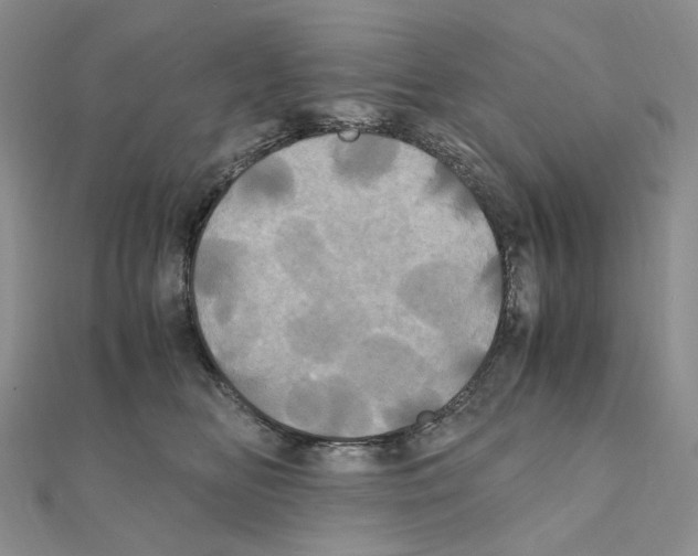 X0000110990518200907311013