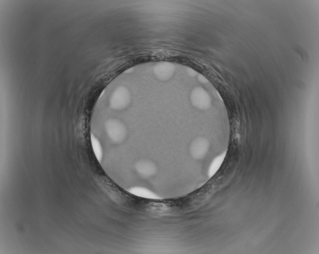 X0000110990519200907311013