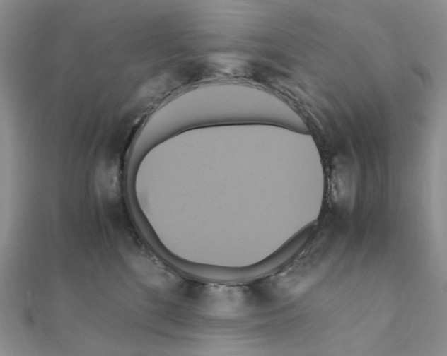 X0000110990520200907311013