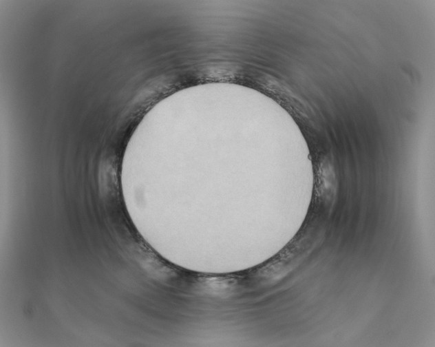 X0000110990522200907311013