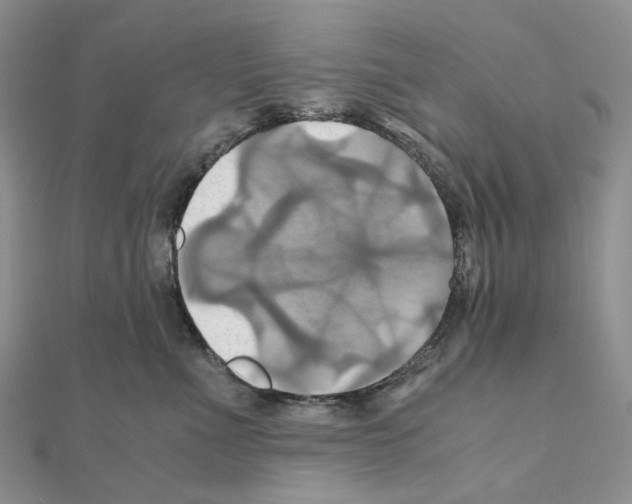 X0000110990523200907311013