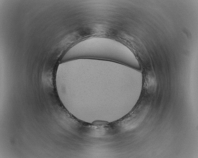 X0000110990524200907311013