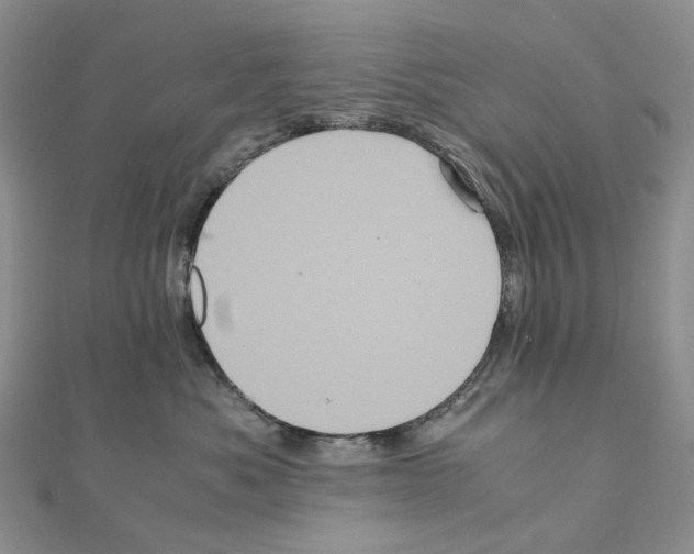 X0000110990525200907311013