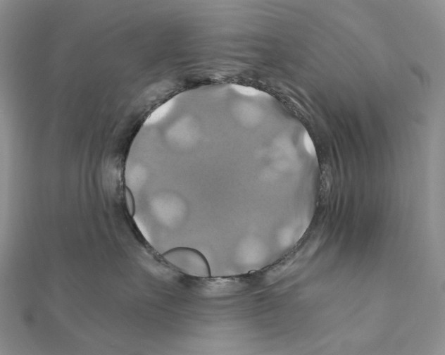 X0000110990527200907311012