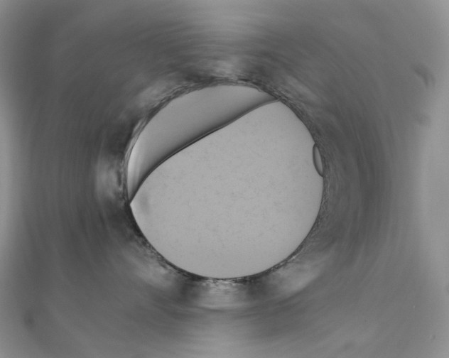 X0000110990528200907311012