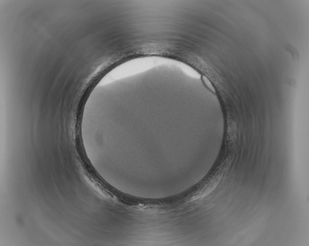X0000110990530200907311012