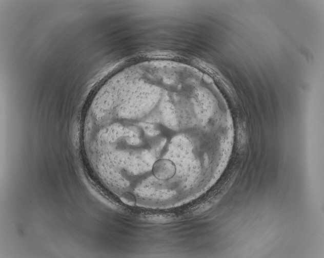 X0000110990533200907311012