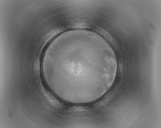 X0000110990534200907311012