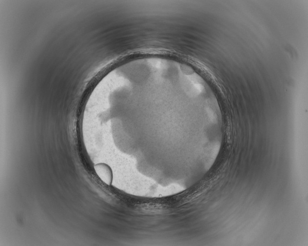 X0000110990535200907311012