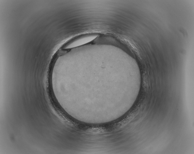 X0000110990536200907311012