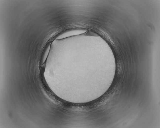 X0000110990538200907311012