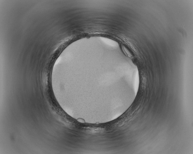 X0000110990539200907311012