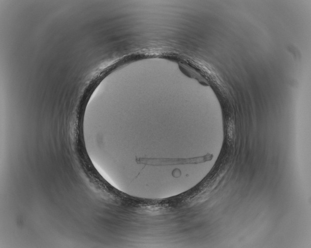 X0000110990540200907311012