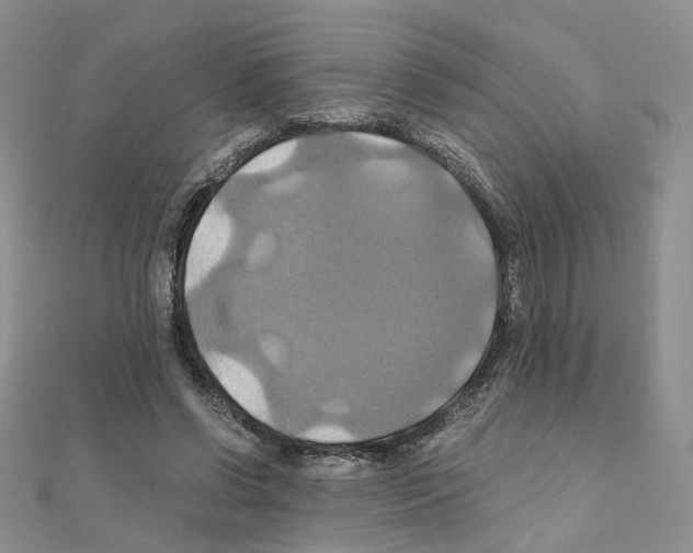 X0000110990542200907311012