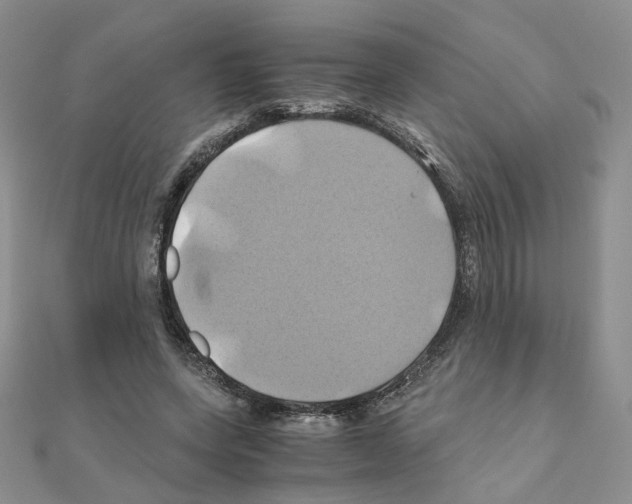 X0000110990543200907311012