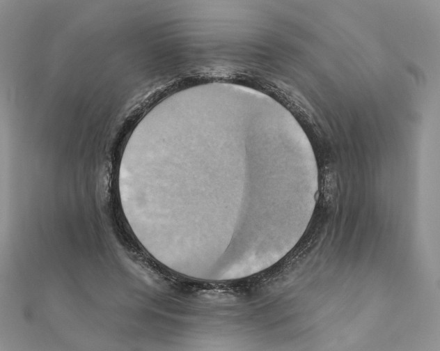 X0000110990544200907311012