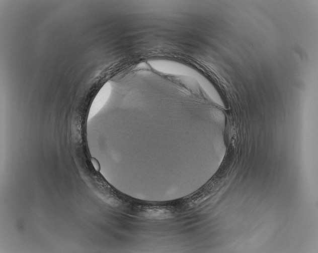X0000110990547200907311012