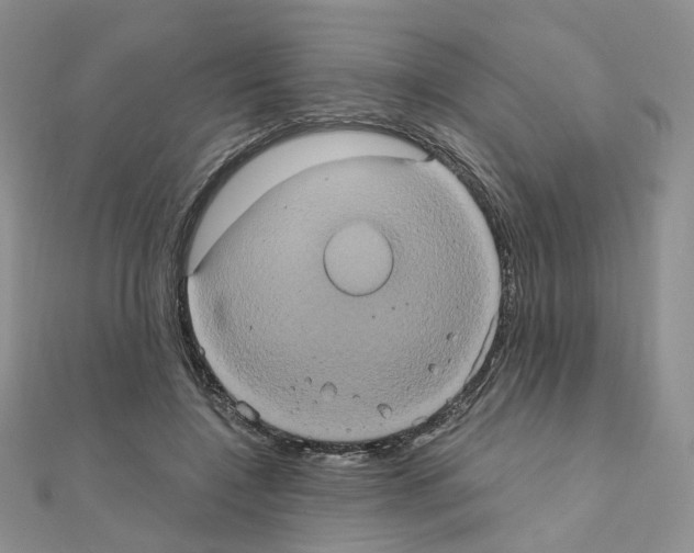 X0000110990548200907311012