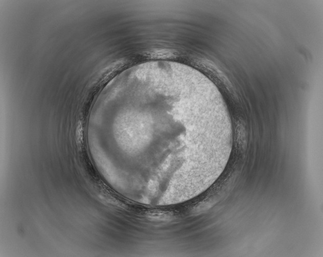 X0000110990549200907311012