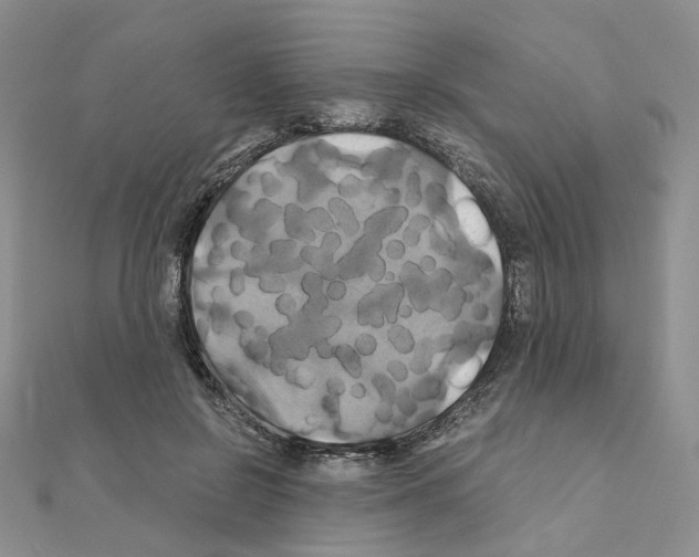 X0000110990550200907311012