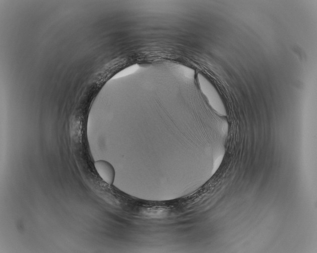 X0000110990551200907311012