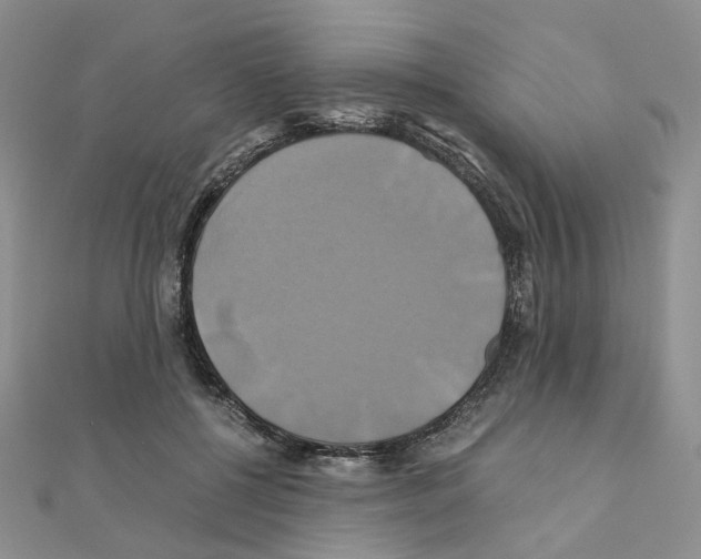 X0000110990552200907311012