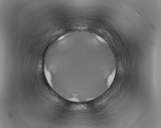 X0000110990553200907311012