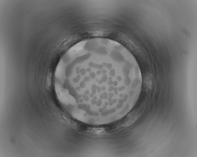 X0000110990554200907311012