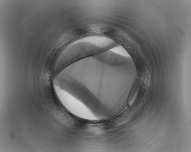 X0000110990556200907311012