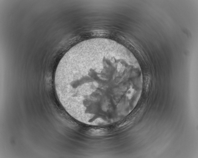 X0000110990557200907311012
