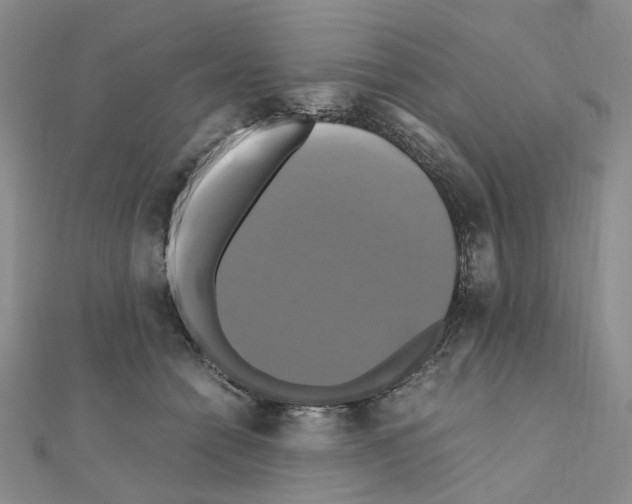 X0000110990558200907311012