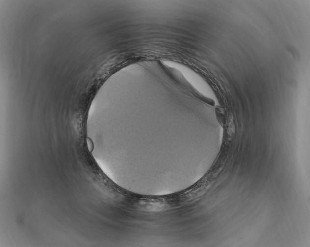 X0000110990559200907311012