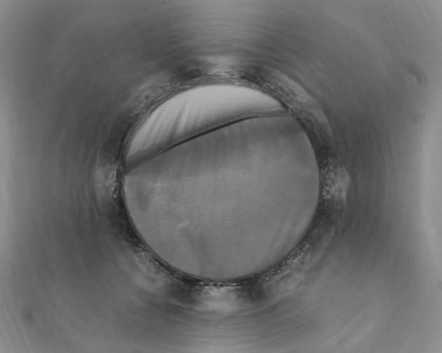 X0000110990560200907311012