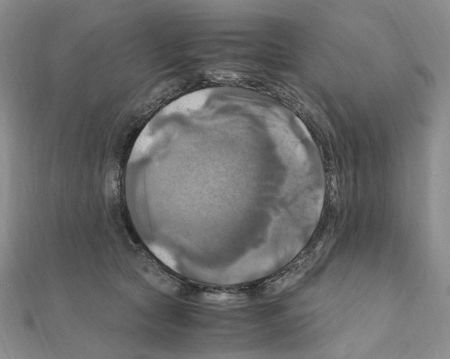 X0000110990561200907311012
