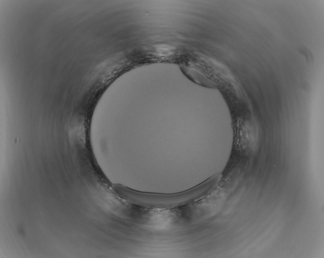 X0000110990562200907311012
