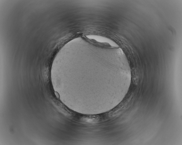 X0000110990563200907311012