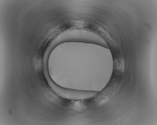 X0000110990564200907311012