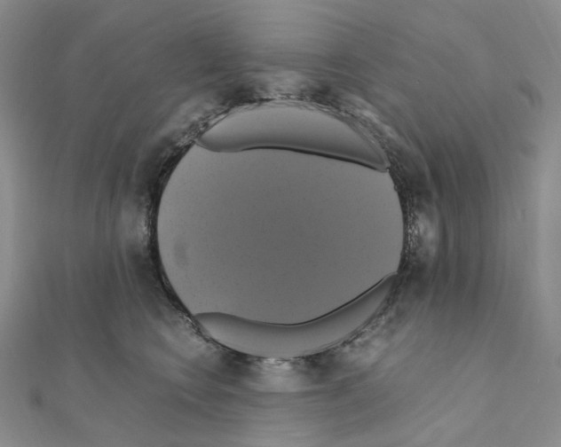 X0000110990566200907311012