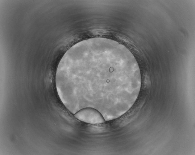X0000110990567200907311012