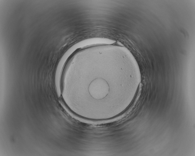 X0000110990568200907311012