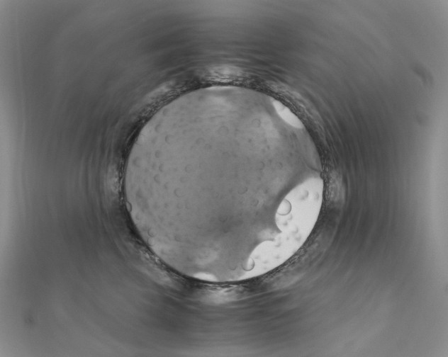 X0000110990569200907311012