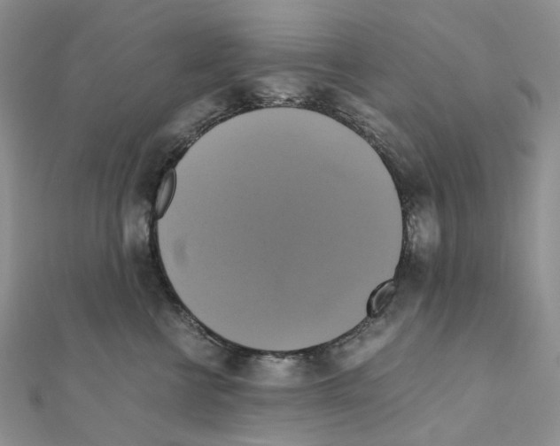 X0000110990570200907311012