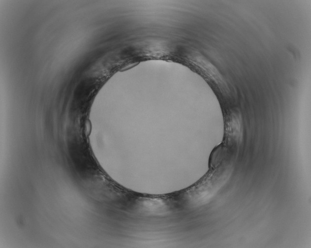X0000110990572200907311012