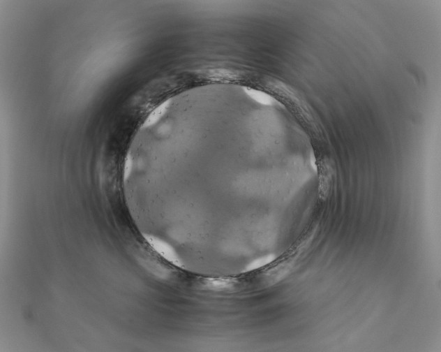 X0000110990573200907311012