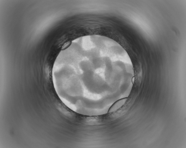 X0000110990574200907311012