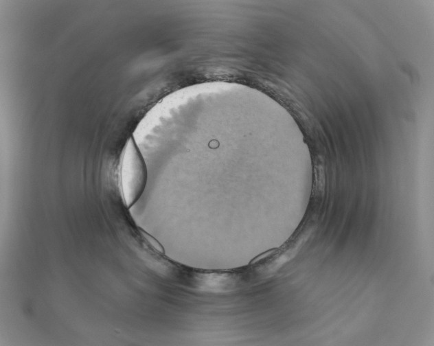 X0000110990575200907311012