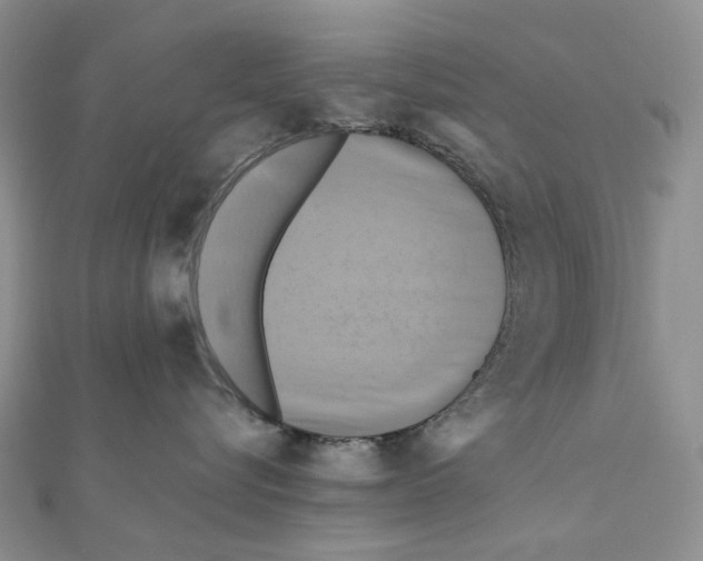 X0000110990576200907311012